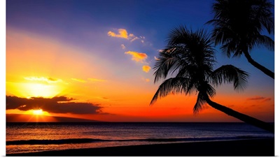 Palm Trees Sunset