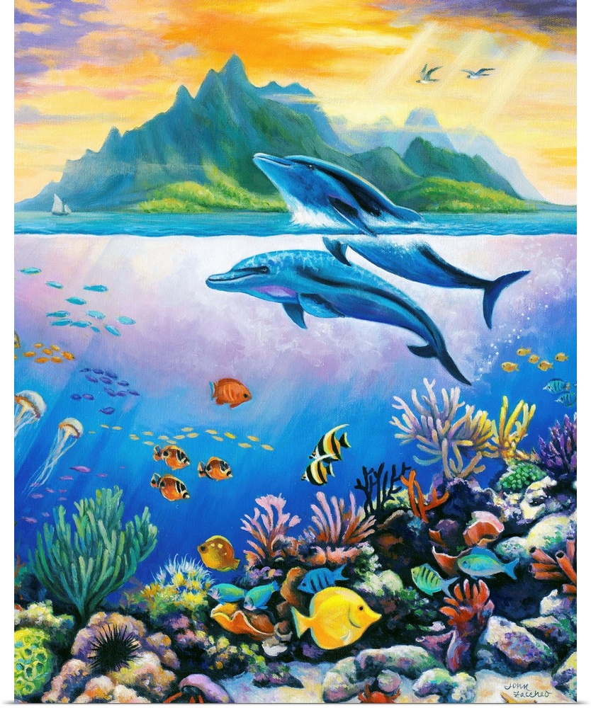 dolphins underwater scene tropical fish