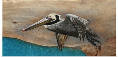 Pelican Over Turquoise Water