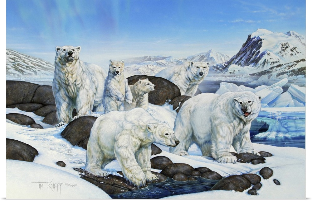 Polar Bears on an ice cap
