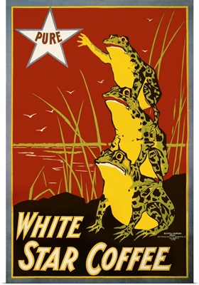 Pure White Star Coffee, Frogs