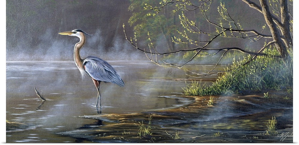 Great blue heron in a pond.