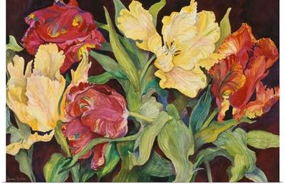 Red And Yellow Parrot Tulips