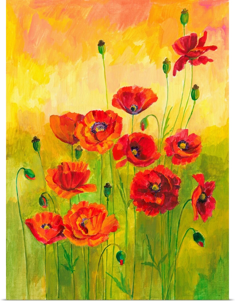 Red Poppies in Green Grass