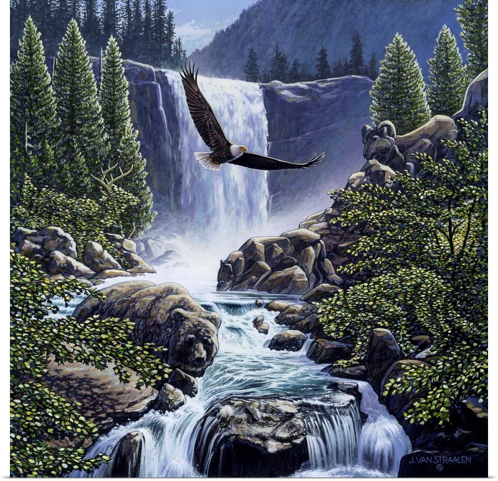 Eagle flying over a river with a waterfall behind him.