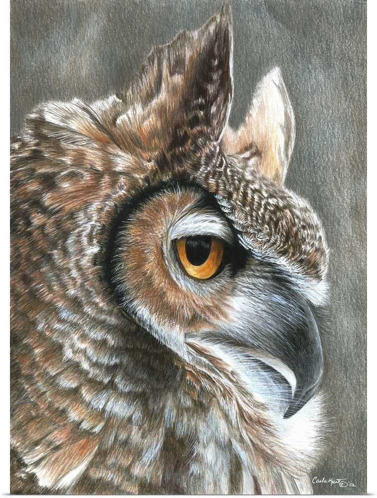 Contemporary artwork of an owl close-up on its face.