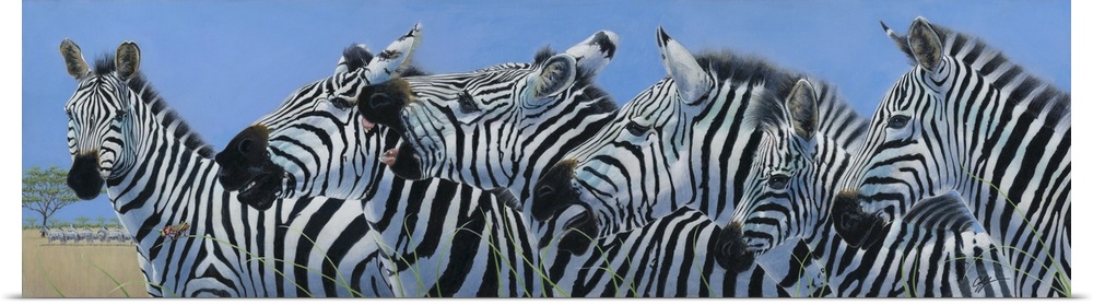 Contemporary painting of a herd of zebras.