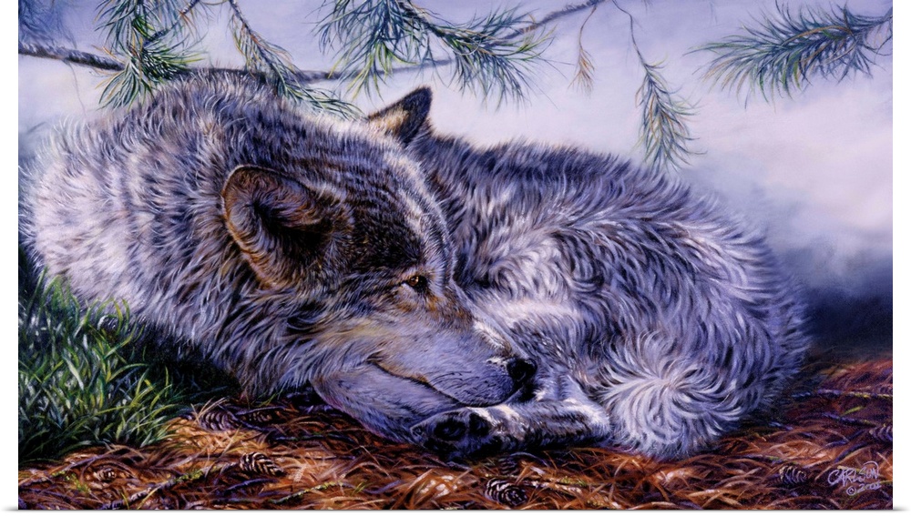 wolf lying on forest bed