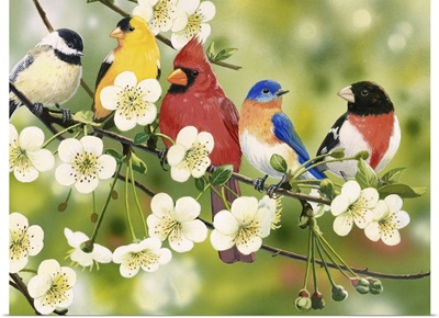 Songbirds On a Flowering Branch