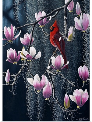 Southern Cheer - Cardinal
