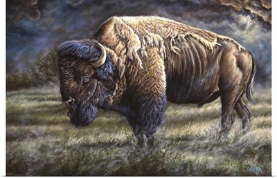 Spirit Of The Plains (Bison)
