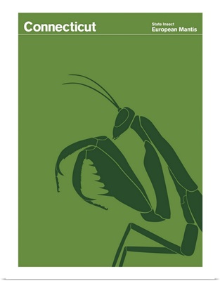 State Posters - Connecticut State Insect: European Mantis