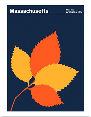 State Posters - Massachusetts State Tree: American Elm