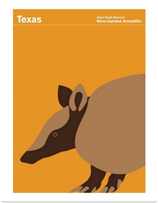 State Posters - Texas State Small Mammal: Nine-banded Armadillo