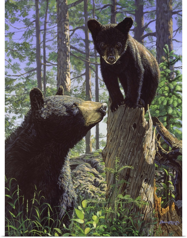 A bear and her cub, cub on tree.