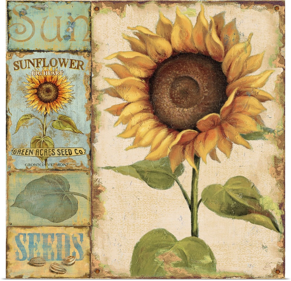 Square large home art docor of a sunflower with four small related images lined vertically to its left.  The smaller image...