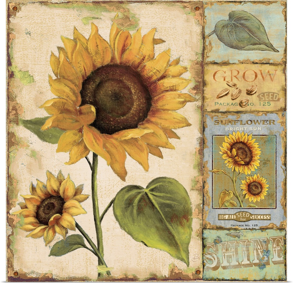 Retro wall docor featuring vintage illustrations of sunflowers, leaves, seeds, and seed packets.
