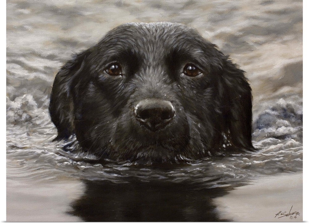 Contemporary painting of a black Labrador retriever swimming.