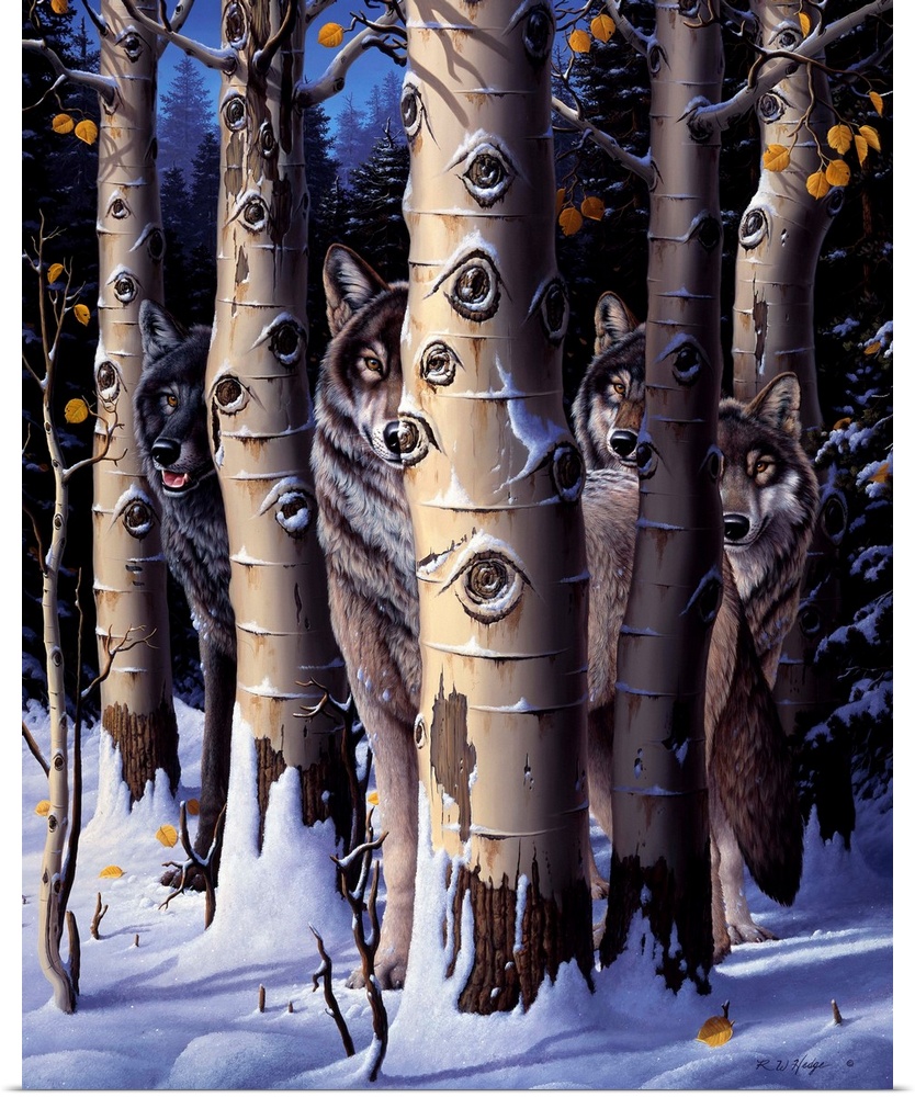 A pack of wolves in winter trees