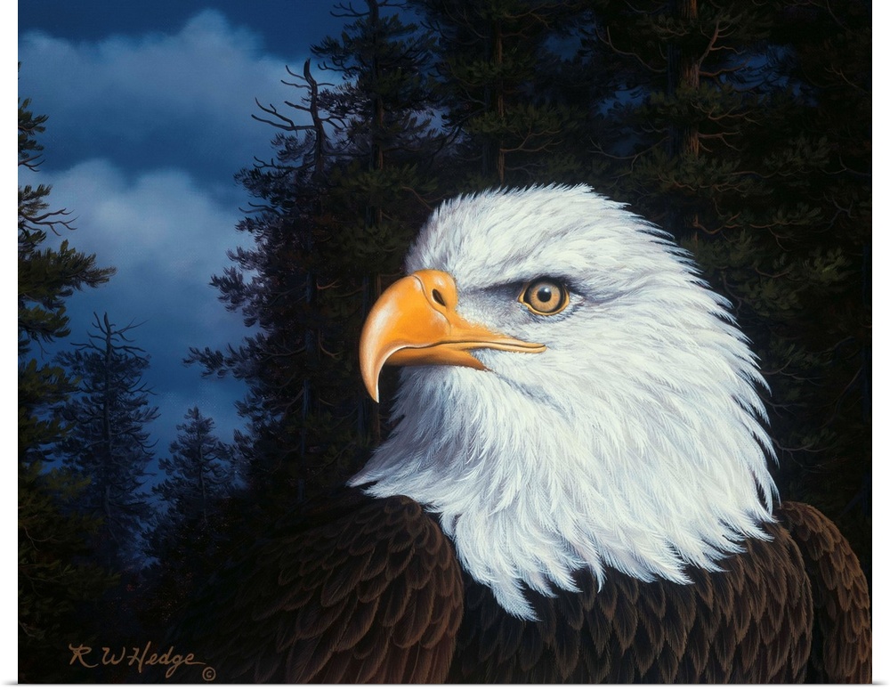 An eagle in profile.