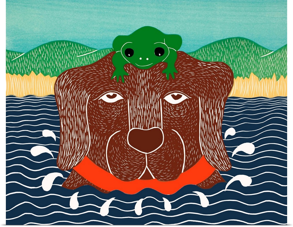Illustration of a chocolate lab in the water with a green frog on its head.
