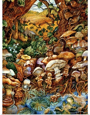 The Mushroom Fairies