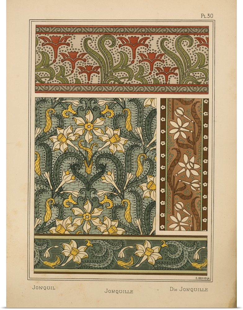 La Plante et ses applications ornementales, Eugene Grasset, Plate 30 - Jonquil