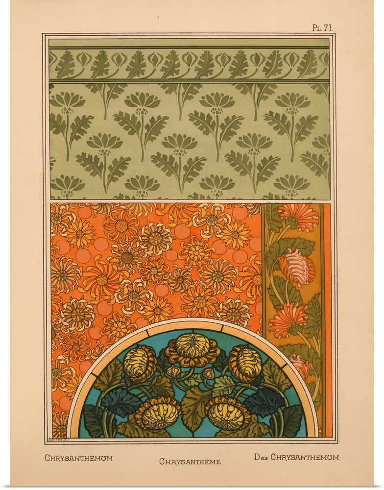 La Plante et ses applications ornementales, Eugene Grasset, Plate 71 - Chrysanthemum