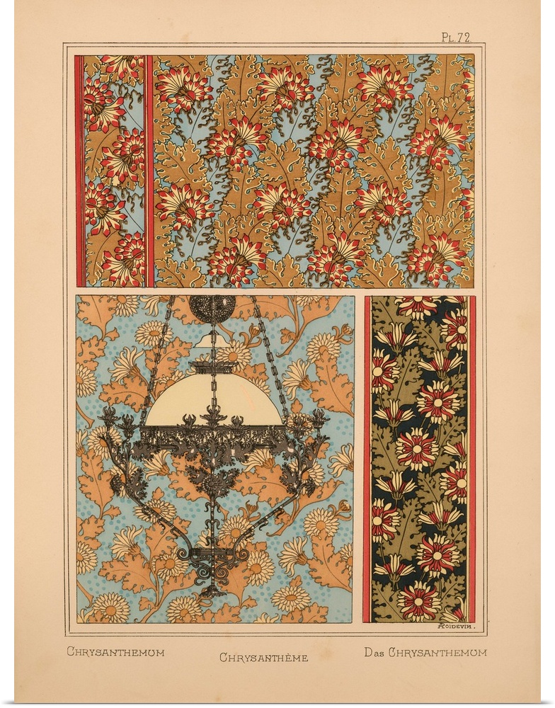 La Plante et ses applications ornementales, Eugene Grasset, Plate 72 - Chrysanthemum