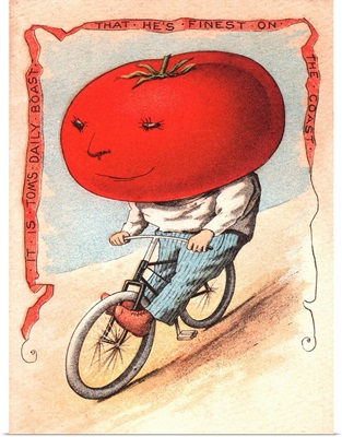 Tom's Daily Boast - Vintage Illustration