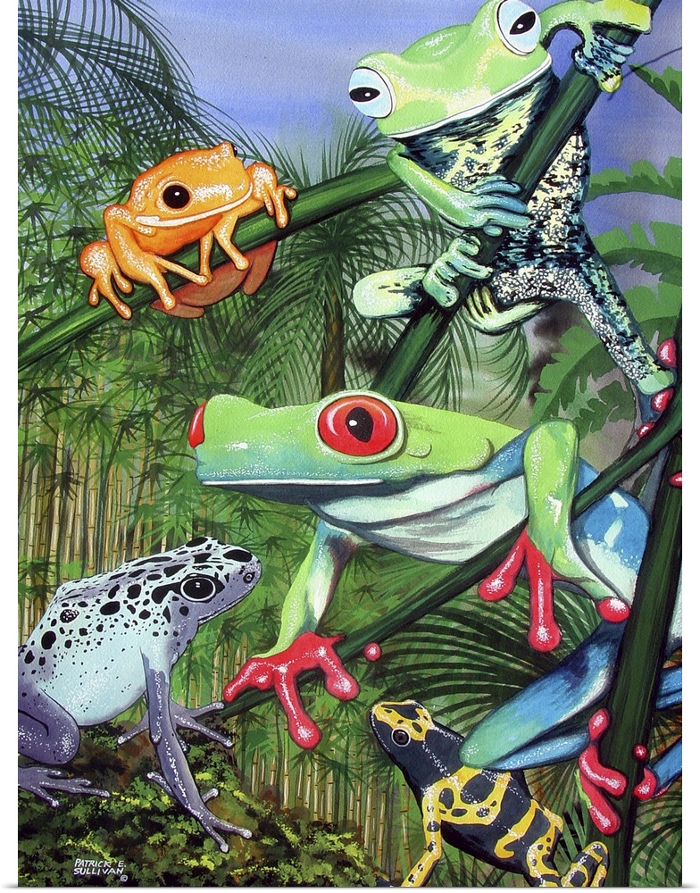Tropical frogs sitting on branches of exotic plants.