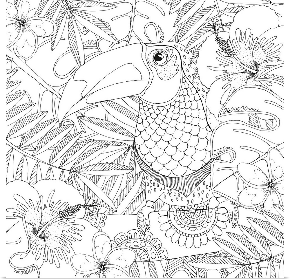 Black and white lined design of a tropical Toucan perched on a branch surrounded by topical flowers and leaves.