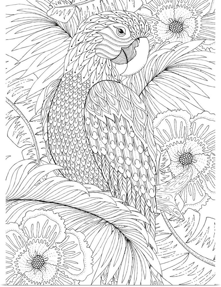 Black and white line art of an intricately designed parrot with a tropical floral background.