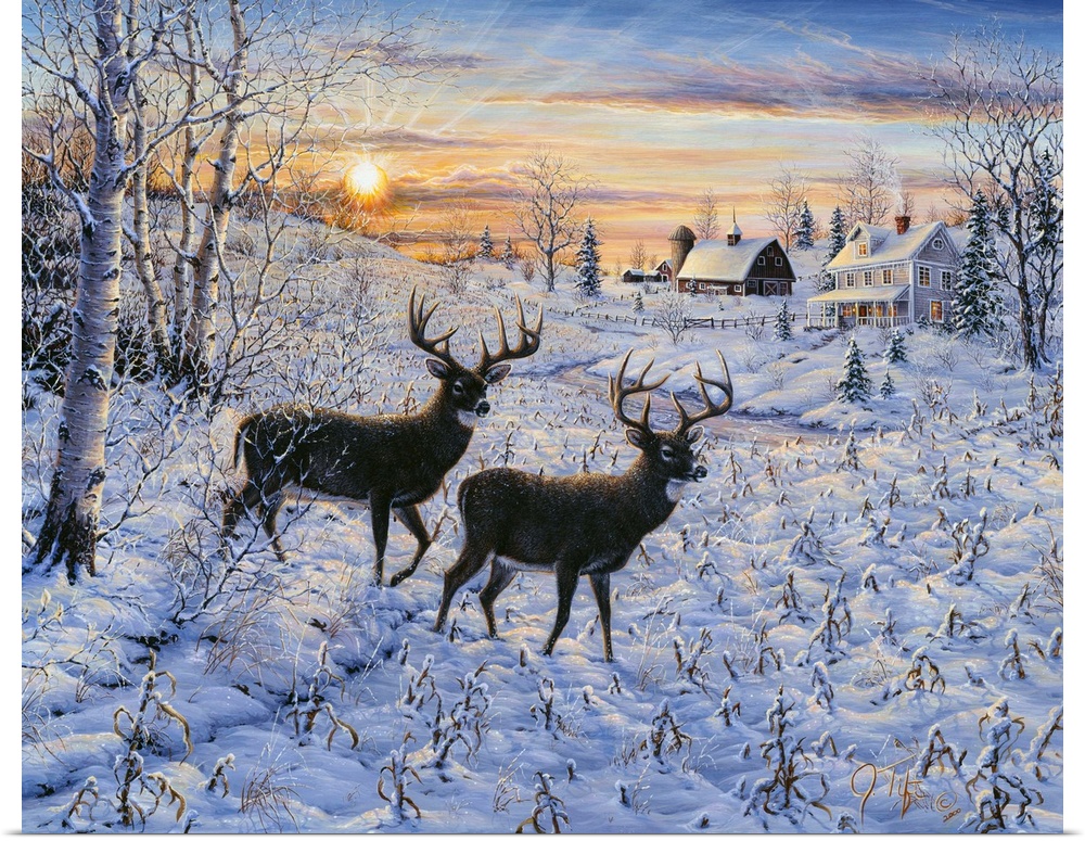 two deer (buck) standing in a snow covered meadow with a house and barn in the background, a full moon in the sky
