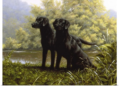 Two Labs