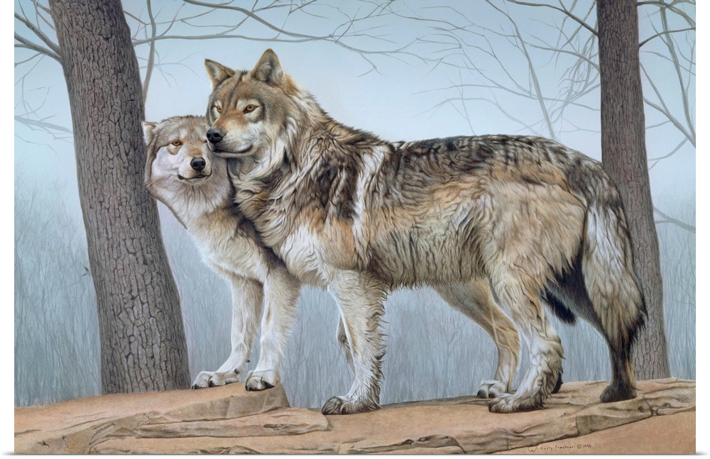 Two wolves standing next to each other on a ledge with a tree in front and in back of them.