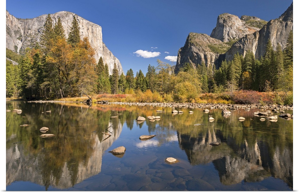 El Capitan and Bridalveil Falls in Yosemite reflected in the clear water of the River Merced.