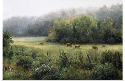 Vermont Pasture
