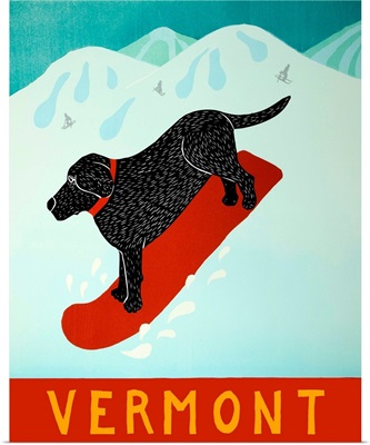Vermont Snowboard Black