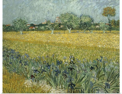 View of Arles with Irises