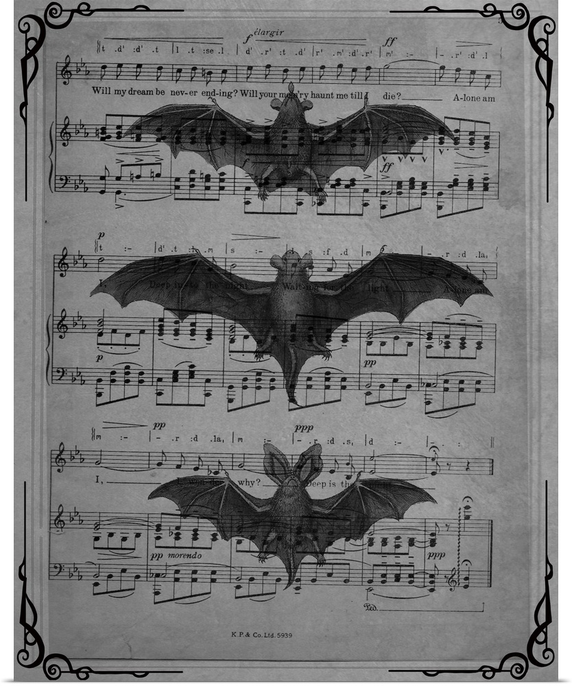 Black and white vintage sheet music with three bats on top.