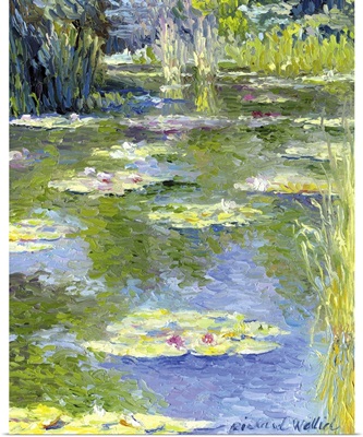 Waterlilies in Pond ala Monet