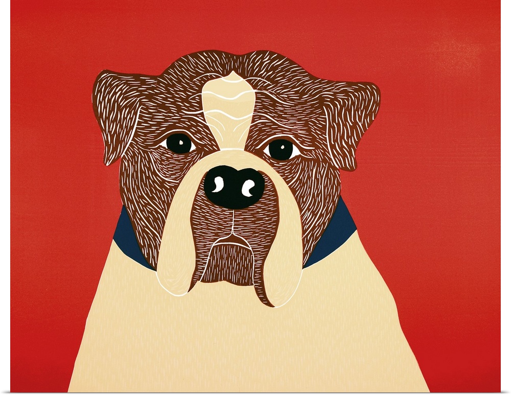 Illustrated portrait of a boxer on a red background.