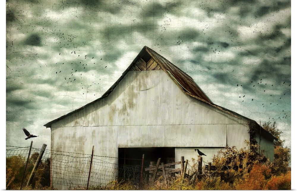 Fine art photo of a barn under stormy skies with crows flying by.