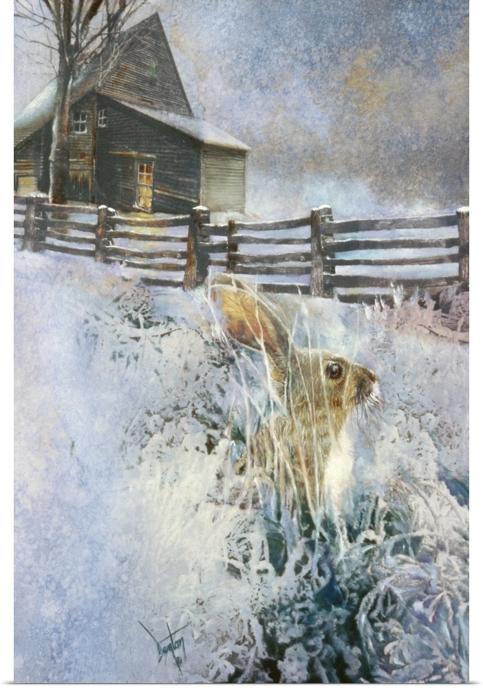A contemporary painting of a long eared wild rabbit seen in the snowy grass outside of a country home.