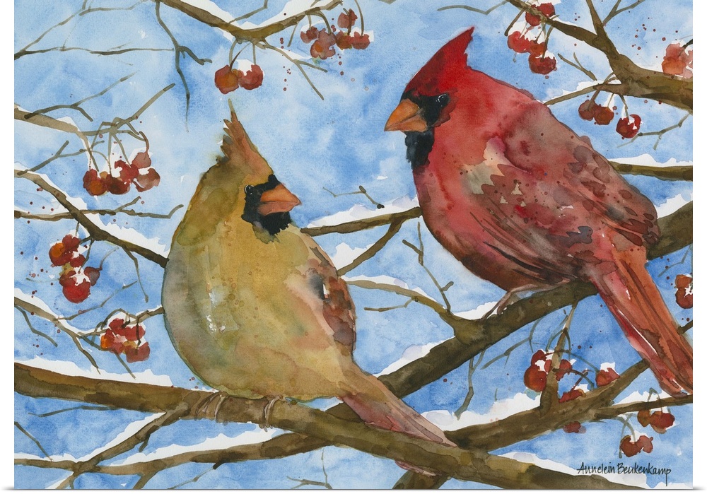Male and female cardinals in a tree.