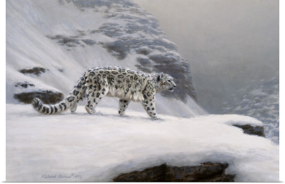 Contemporary painting of a snow leopard on a snowy overlook.