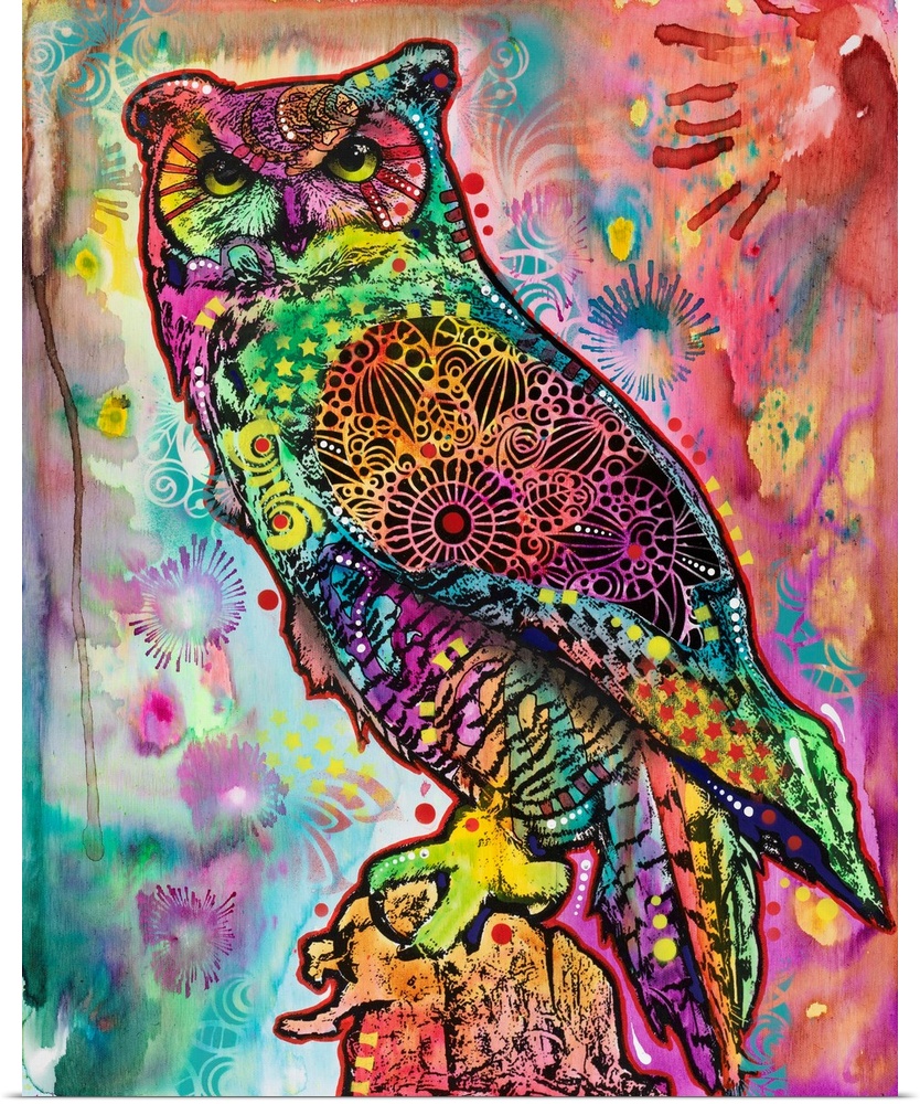 Colorful illustration of an owl surrounded by abstract designs.