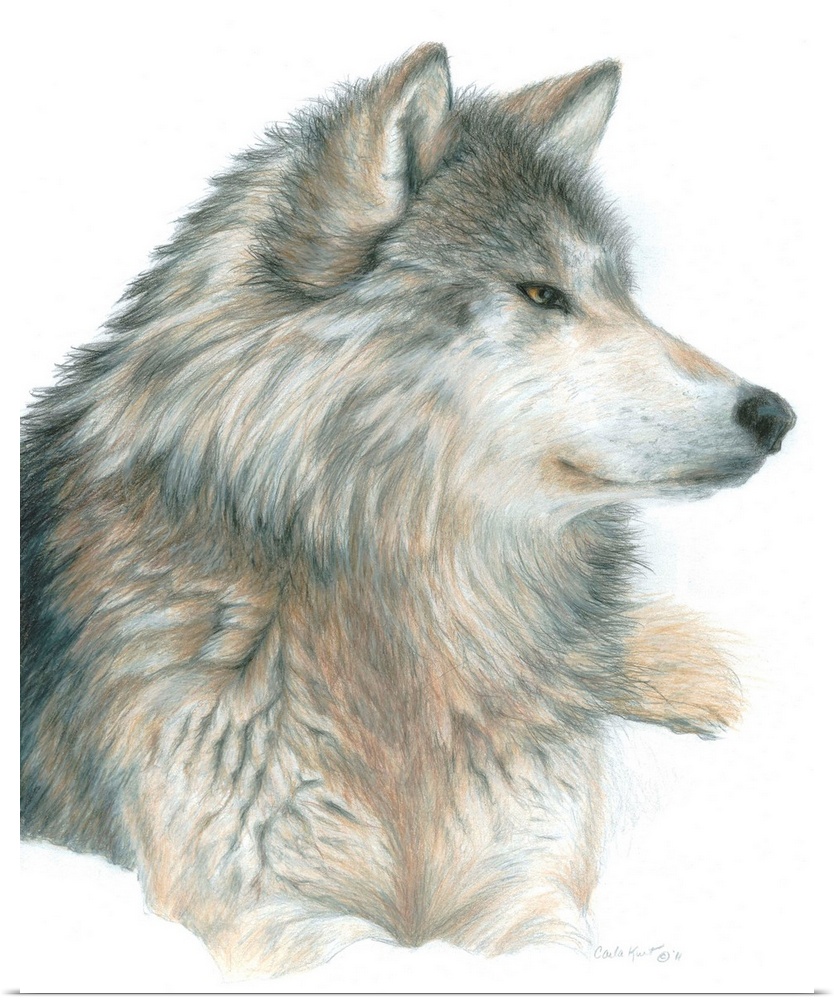 Contemporary artwork of a gray wolf against a white background.