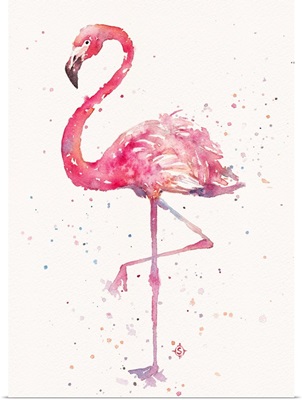 A Flamingos Fancy